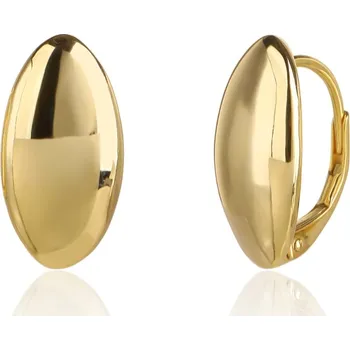 Náušnice Pozlacené stříbrné náušnice JVD SVLE3523XJ6GO00