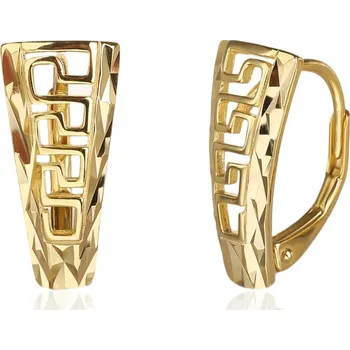 Náušnice Pozlacené stříbrné náušnice JVD SVLE3511XJ6GO00