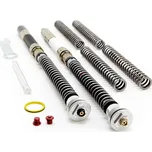 Cartridge přední vidlice K-TECH DDS 155-000-250/015 TRIUMPH Daytona 675 2006-2008