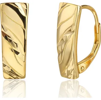 Náušnice Pozlacené stříbrné náušnice JVD SVLE3524XJ6GO00