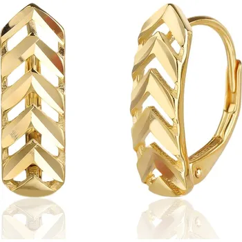 Náušnice Pozlacené stříbrné náušnice JVD SVLE3515XJ6GO00