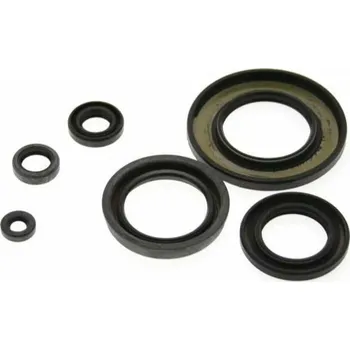 Sada olejového těsnění CENTAURO 990A971SR