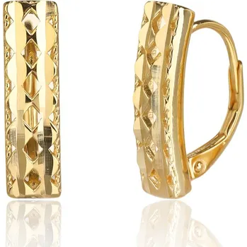 Náušnice Pozlacené stříbrné náušnice JVD SVLE3514XJ6GO00