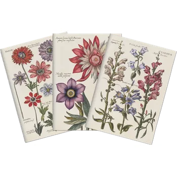 Sada tří notýsků Blue Flowers