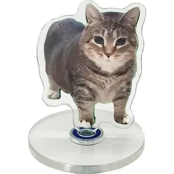 Mini kočičí dekorace 5 cm Otočný podstavec 360° Mourovaná kočka Oiiai na stůl, poličku nebo palubní desku Ochranná fólie