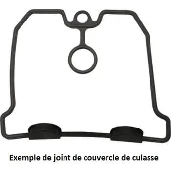 CENTAURO Těsnění víka hlavy P651454