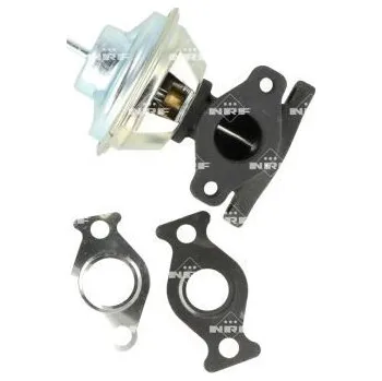 Ventil palivového systému AGR-Ventil NRF 48729