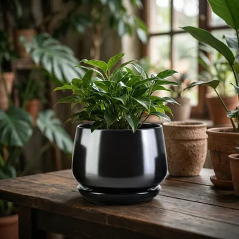 Obal na květináč Obal s podmiskou MONDEX NEVA 17,5 × 19,5 × 15 cm černý