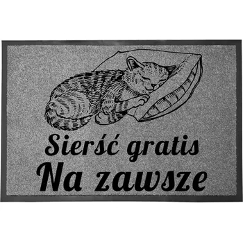 Rohožka ŠEDÁ VSTUPNÍ ROHOŽKA 40X60CM KE DVEŘÍM VTIPNÁ ZÁBAVNÁ SRST