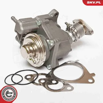 Ventil palivového systému AGR-Ventil ESEN SKV 14SKV063