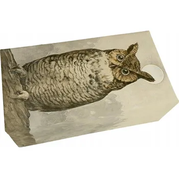 Koupelová kosmetika Přírodní mýdlo 200g lesní vůně Sowa Skona Ting