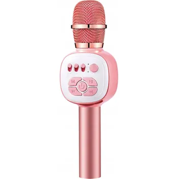 Mikrofon Mikrofon SGODDE KTV