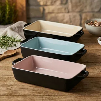 Obdélníková nádoba s uchyty MONDEX BASIC 23 × 16 × 5 cm mix barev