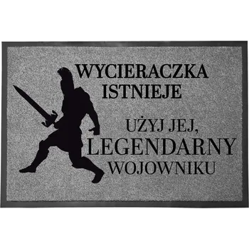 Rohožka Vstupní rohožka šedá 40x60 cm ke dveřím s humorem - POUŽIJ JI!