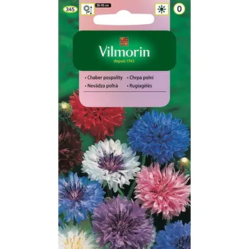 Semeno Vilmorin Chrpa polní směs 1 g