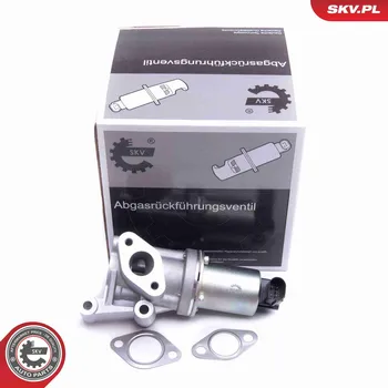 Ventil palivového systému AGR-Ventil ESEN SKV 14SKV213