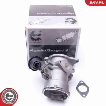 Ventil palivového systému AGR-Ventil ESEN SKV 14SKV093