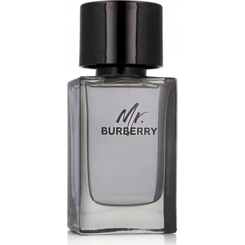Pánský parfém Burberry Mr. Burberry EDT 100 ml Pánská toaletní voda