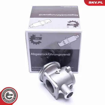 Ventil palivového systému AGR-Ventil ESEN SKV 14SKV178