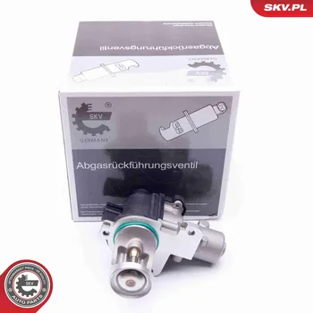 Palivový systém AGR-Ventil ESEN SKV 14SKV172