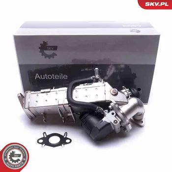 Ventil palivového systému AGR-Ventil ESEN SKV 14SKV234