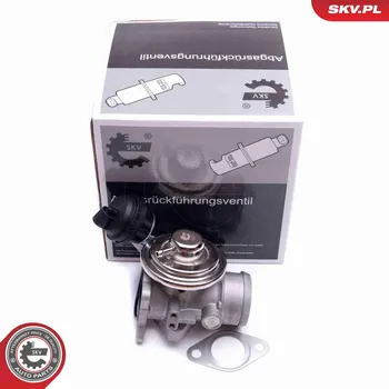 Ventil palivového systému AGR-Ventil ESEN SKV 14SKV206