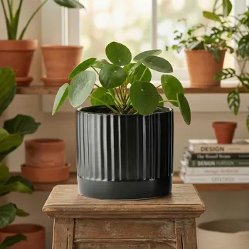 Obal na květináč Rýhovaný obal na květináč MONDEX NEVA 15x15x13 cm černý