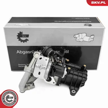 Palivový systém AGR-Ventil ESEN SKV 14SKV289