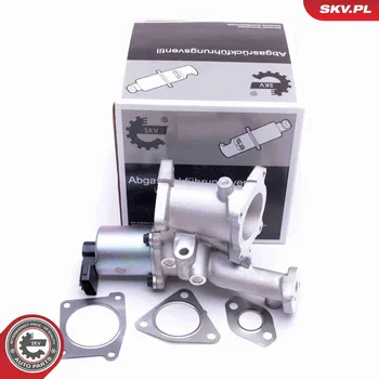 Ventil palivového systému AGR-Ventil ESEN SKV 14SKV166