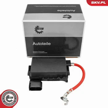 Autopojistky Krabice s pojistkami ESEN SKV 96SKV325