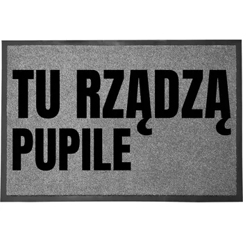 Rohožka ŠEDÁ ROHOŽKA PŘED DVEŘE 60X40 DO DOMU S HUMOREM - TADY VLÁDNOU MAZLÍČCI