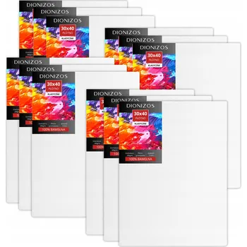 Malířské plátno Malířské Plátno malířské plátno 30 x 40 cm 290 g/m² třikrát penetrované