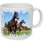 Moon River Kůň hrnek s koněm vzor 013 obsah 330 ml (hrneček s koněm)