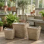 Sada proutěných obalů MONDEX GUSTAV 3 ks