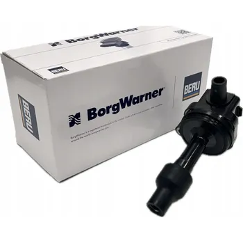 Zapalovací cívka Zapalovací cívka BorgWarner ZS429