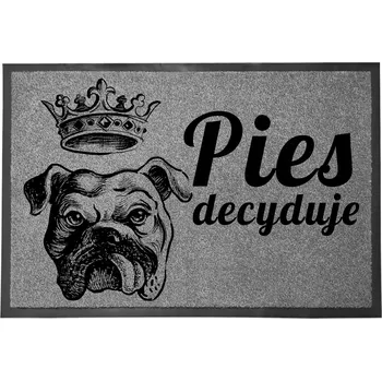 Rohožka VCHODOVÁ ROHOŽKA ŠEDÁ 40X60CM KE DVEŘÍM VTIPNÁ ZÁBAVNÁ ROZHODUJE PES