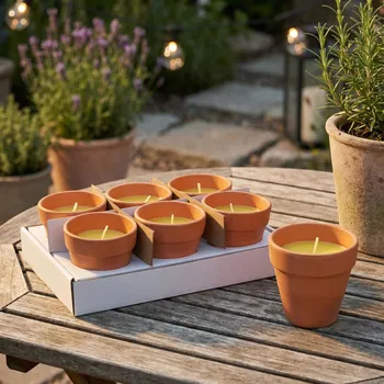 Svíčka Svíčka citronella v květináči MONDEX 9 × 9 cm 6 ks