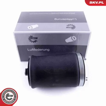 Vzduchová pružina, podvozek ESEN SKV 58SKV004