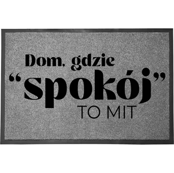 Rohožka VSTUPNÍ ROHOŽKA ŠEDÁ 40X60 CM KE DVEŘÍM VTIPNÁ ZÁBAVNÁ SPOKOJNOST JE MÝTUS