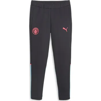 Tepláky Puma Dark Navy 1443809 XL