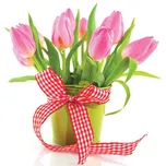 ARCH 9101 20 x 23,5 cm tulipány s mašlí