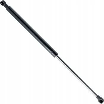 Dveře karosérie Plynová vzpěra, víko zavazadlového prostoru EinParts Automotive EP11085GS