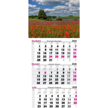 Kalendář Třídílný kalendář Máky 2026 s pevnou hlavou