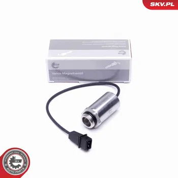 Ventil motoru Řídicí ventil, seřízení vačkového hřídele ESEN SKV 39SKV048