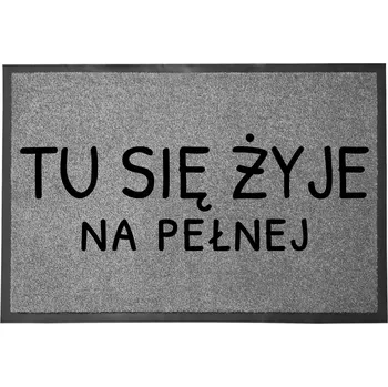 Rohožka VCHODOVÁ ROHOŽKA ŠEDÁ 40X60CM KE DVEŘÍM S HUMOREM ZÁBAVNÁ TADY SE ŽIJE