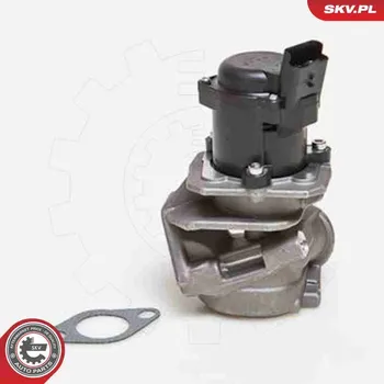 Ventil palivového systému AGR-Ventil ESEN SKV 14SKV027