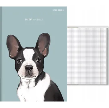 Sešit Sešit A5 s mřížkou TOP-2000, tvrdé desky, 96 listů, vícebarevný