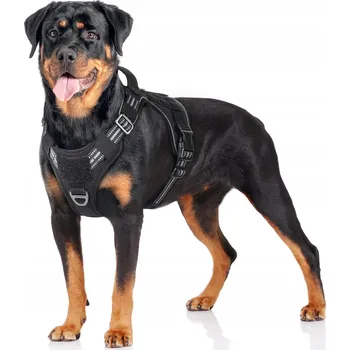 Postroj pro psa VEL PRO PSY RABBITGOO VELIKOST L ČERNÝ