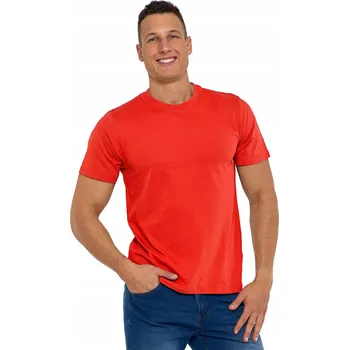 Pánské tričko Tričko Pánské bavlněné tričko s kulatým výstřihem Krátký rukáv MORAJ XL