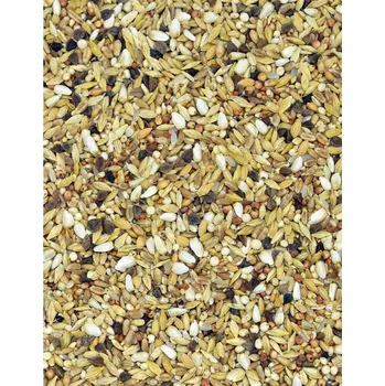 Krmivo pro ptáka Závodní směs pro holuby dieta.